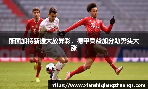斯图加特新援大放异彩，德甲受益加分助势头大涨