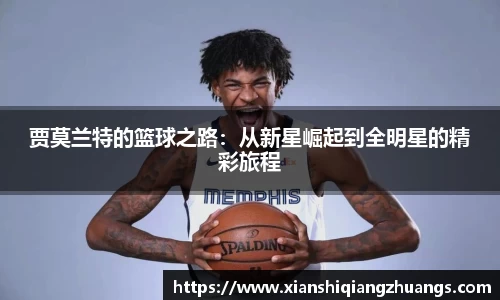完美体育
