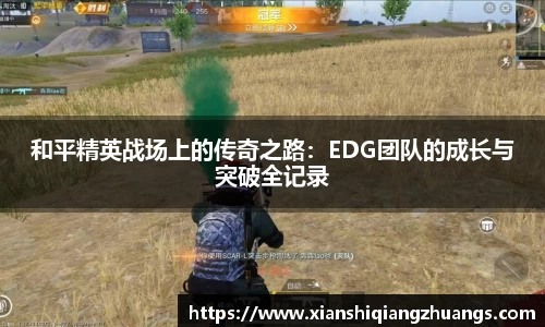 完美体育在线入口官网