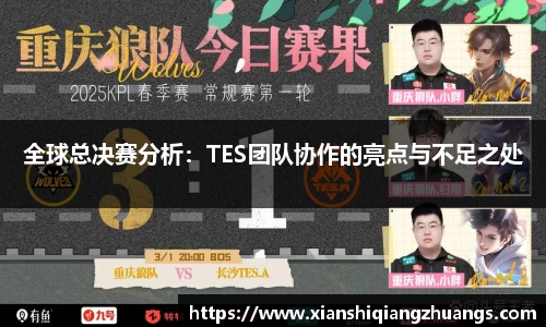 全球总决赛分析：TES团队协作的亮点与不足之处